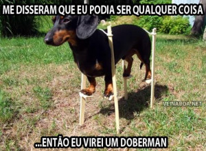 Véi, cê gostou? Compartilhe: