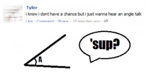 The Most Ridiculous Facebook Statuses