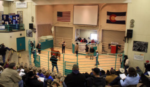 Livestock Show Girl Quotes There are also shows for sheep