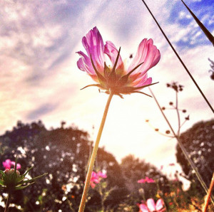 Instagram Photography Instagram photography