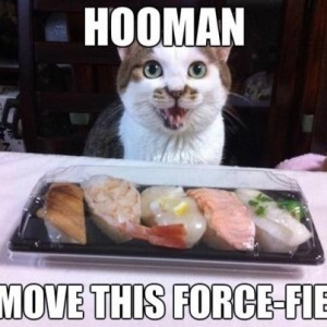 Funny Picture 2014 Hooman