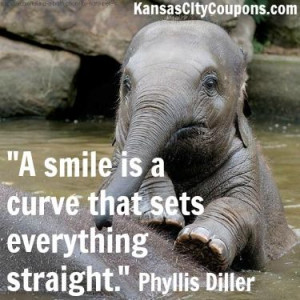 ... quote #kansascity #kansascitycoupons #cute #babyelephant #elephant #