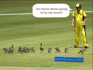 Are these ducks going to be my team? Oh Yeah! :)