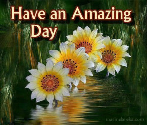 Have an amazing day!