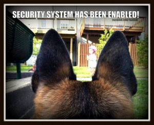 the best security system.