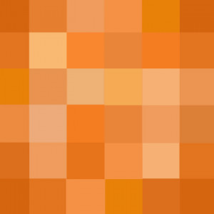 Showing Gallery For Different Shades Of Orange Colour