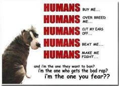 This is so true if you think about it, is it the dog that is vicious ...
