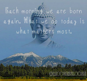 ... Born Again. What We Do Today Is What Matters Most. ~ Buddhist Quotes