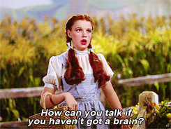 Dorothy Insults Your Intelligence In The Wizard Of Oz