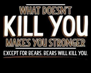 Watch out for bears! | Quotes for kids