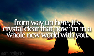 From way up here, it's crystal clear that now i'm in a whole new world ...