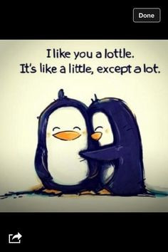 Bestfriend quote. This is really cute! #lottle #little #alot #cute # ...