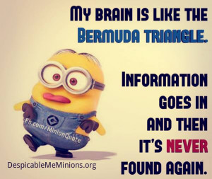 Minion-Quotes-Bermuda-triangle.jpg
