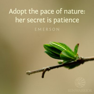 Emerson Quotes