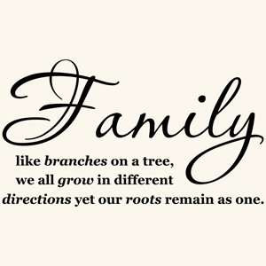 Family Get Together Quotes http://www.popscreen.com/p/MTU0ODYyNjUz ...