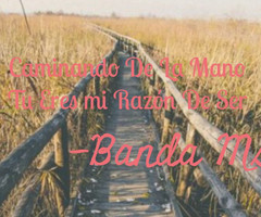 carrera ibarra follow 7 months ago heart this image 70 hearts all