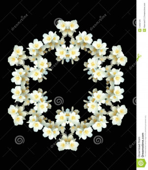 Pin Jasmine Flower Tattoos