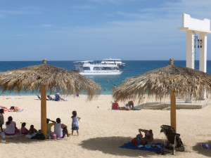 Playa Funny #1 Playa Funny #2 Playa Funny #3 Playa Funny #4 Playa ...