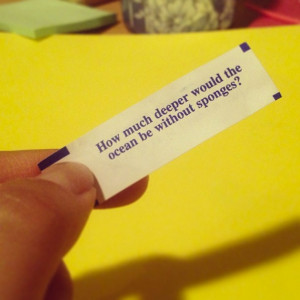 13 Funny Yet Weird Fortune Cookie Fortunes…..