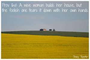 Proverbs 16 v 1: EVERY WISE woman builds her house, but the foolish ...