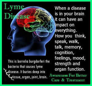 lyme disease