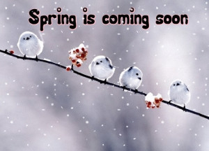 Spring is coming soon