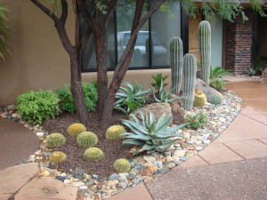 Arizona Landscaping Ideas, I’d do this with sand instead of mulch.