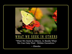 Seek Quotes and Affirmations by Eleesha [www.eleesha.com]