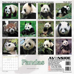 graphs of pandas pictures