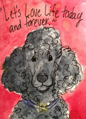 Aceo Standard Poodle Black Inspirational Quote. Original Artwork Done ...