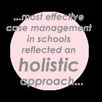 The three levels of school case management support