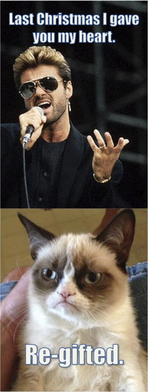 Top 40 most funniest grumpy cat pics #Funny #sayings