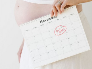 Pregnancy Due Date Calculator Week by Week