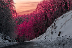 nature, pink, road, sky, snow, sunset, trees