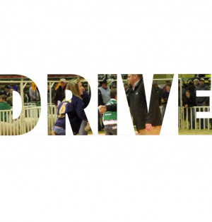 DRIVE livestock. FFA pictures.