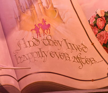 book, castle, disney, fairytale, happily ever after, pink