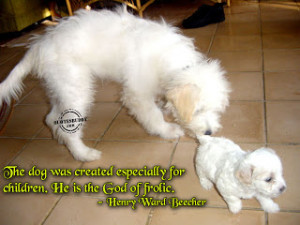 animal sayings and quotes did you ever notice when you blow in a dog ...