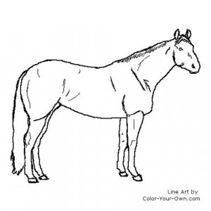 Back The Coloring Pages Index