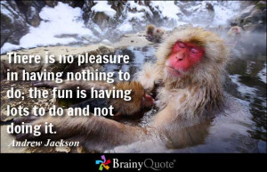 ... to do; the fun is having lots to do and not doing it. - Andrew Jackson