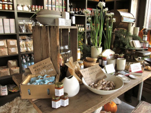 ... Riley Parks, Marching St, Vacations Ideas, Black Shelves, Le Marching