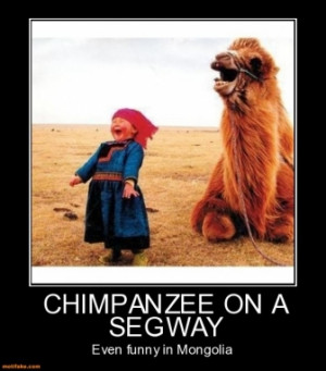 Chimpanzee Segway Even...