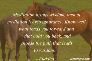 wisdom-Meditation brings wisdom, lack of mediation leaves ignorance ...