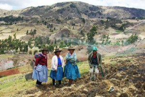 of agriculture of peru sub sectoral irrigation program psi sierra .