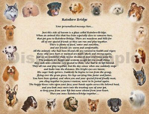 Rainbow Bridge Poem Pet Death | ... Dog Memorial Rainbow Bridge Poem ...