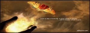 Love is Like a Butterfly Facebook Cover