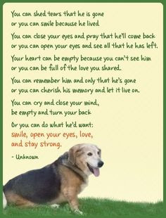 great way to remember a dog that has passed. #RIP Pooch. More