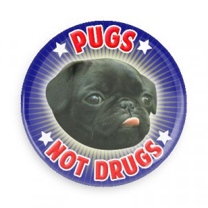 pugs not drugs funny sayings random funny hilarious sayings