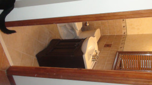 Ridiculous Bathroom remodeling quotes (price, moving, estimates)