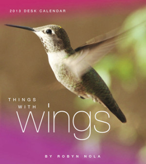 Things With Wings: Hummingbird, Dragonfly and Butterfly Calendar for ...