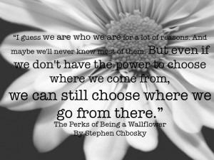 The Perks of Being a Wallflower Perks Quote